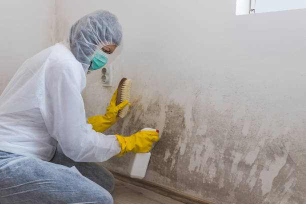 Best Post-Construction Mold Inspection  in Monroe Manor, NJ