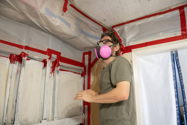 Best Basement Mold Removal  in Monroe Manor, NJ