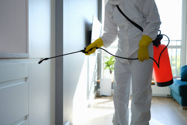 Professional Mold Removal in Monroe Manor, NJ