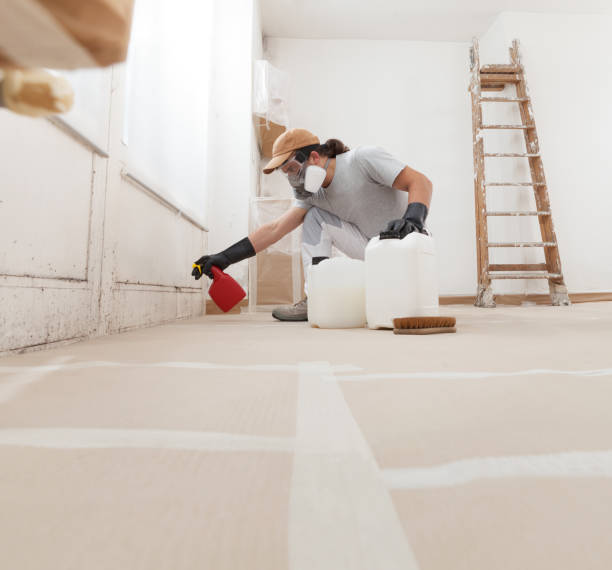 Best Biohazard Mold Removal  in Monroe Manor, NJ